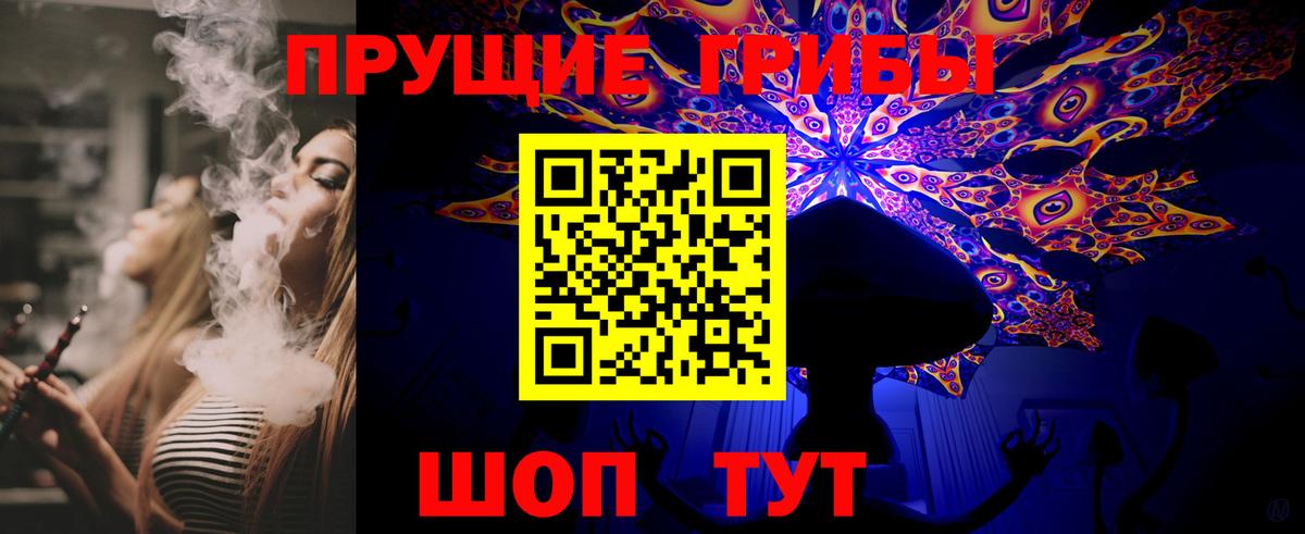 Галлюциногенные грибы Psilocybine cubensis Медногорск